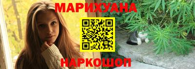 крисы Можга
