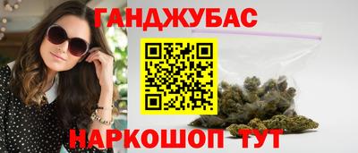крисы Можга