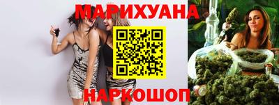 крисы Можга