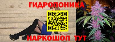 крисы Можга