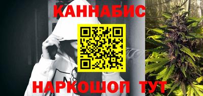 крисы Можга