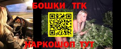 крисы Можга
