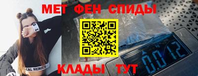 крисы Можга