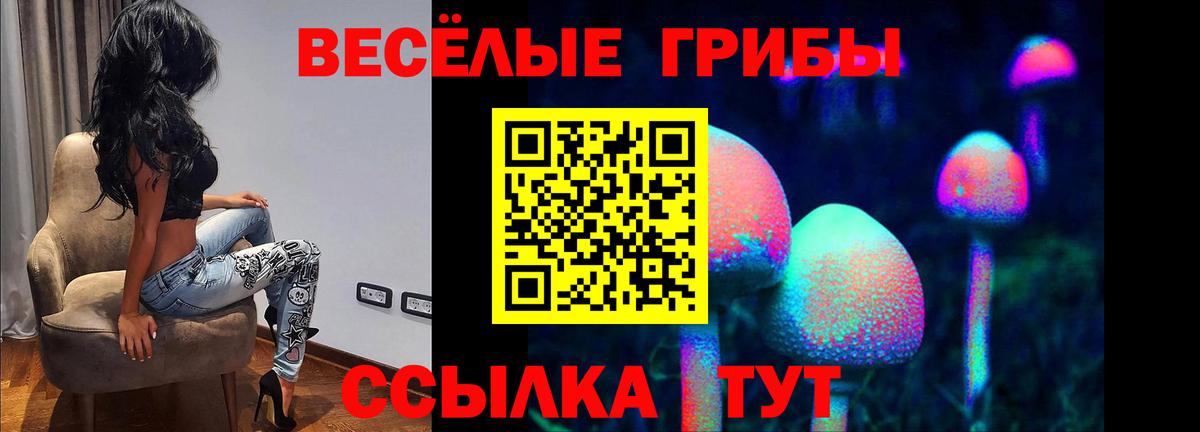 Псилоцибиновые грибы Psilocybe Губаха